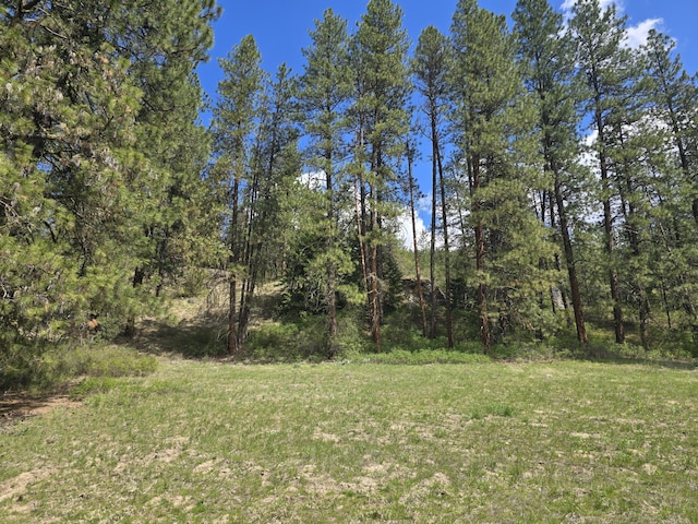 view of yard featuring a view of trees
