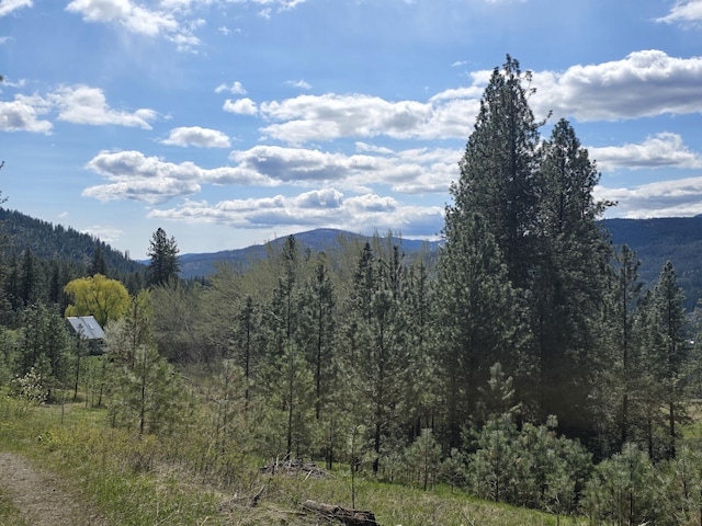 view of mountain feature with a view of trees