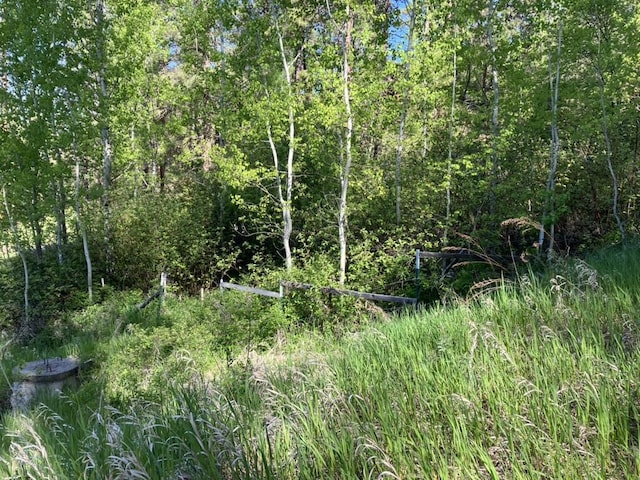 view of nature