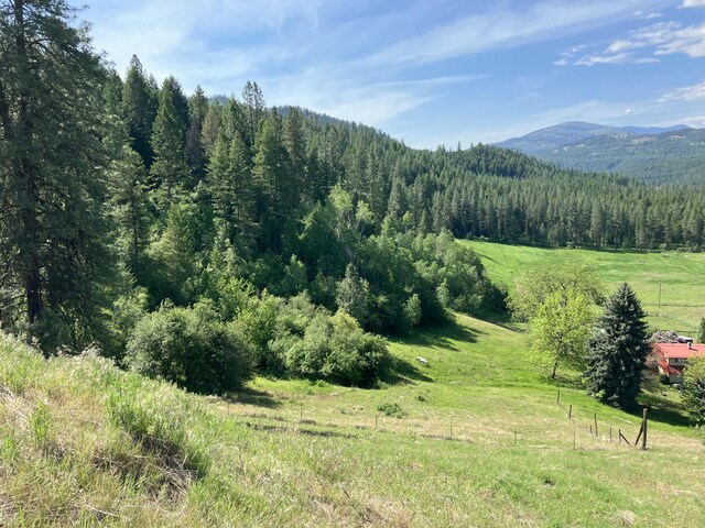 3434 Rockcut Rd, Kettle Falls, WA 99141 - view of mountain background featuring a heavily wooded area and rural landscape