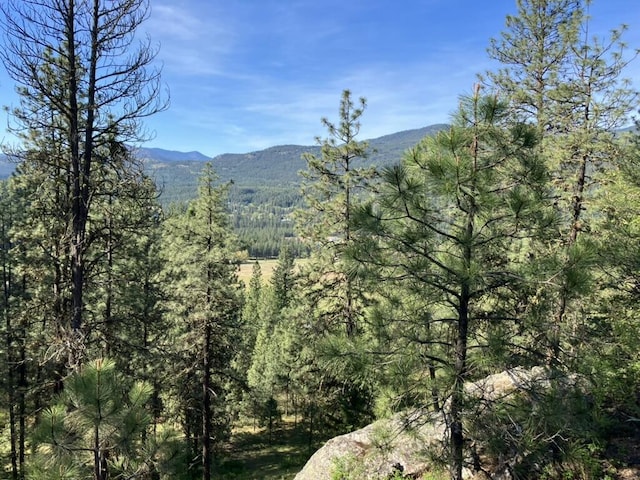 mountain view featuring a view of trees