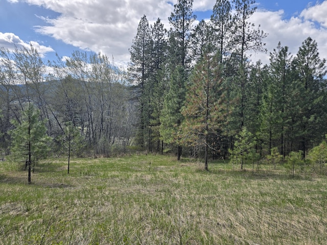 view of landscape with a wooded view