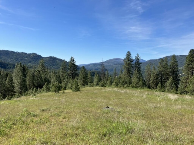 3434 Rockcut Rd, Kettle Falls, WA 99141 - mountain view featuring a heavily wooded area
