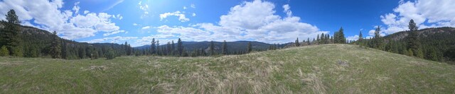 3434 Rockcut Rd, Kettle Falls, WA 99141 - view of mountain backdrop