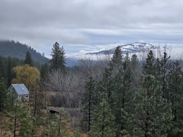 mountain view with a wooded view