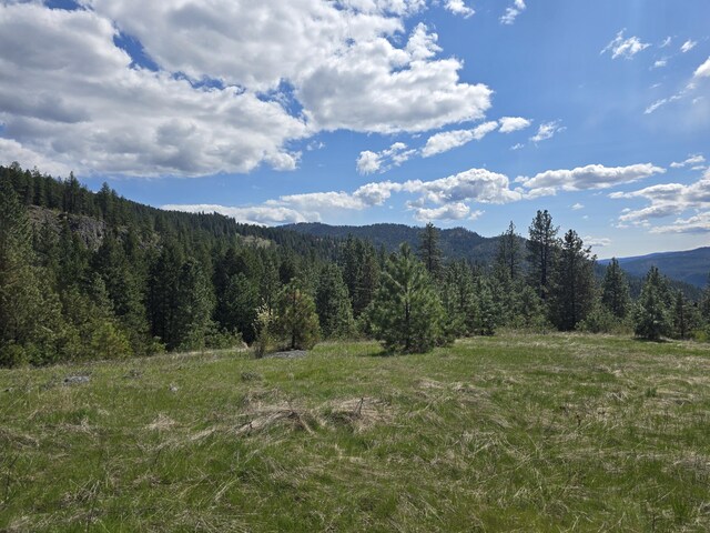 3434 Rockcut Rd, Kettle Falls, WA 99141 - view of mountain background with a forest