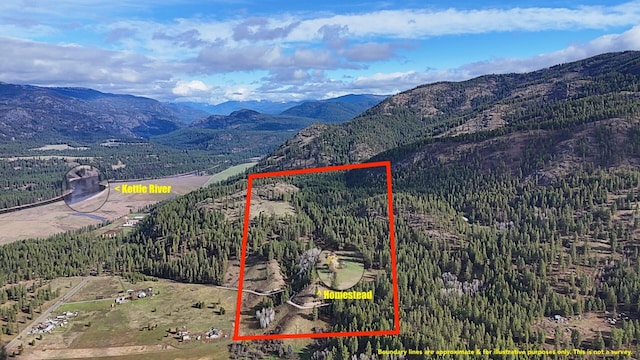 bird's eye view featuring a mountain view and a wooded view