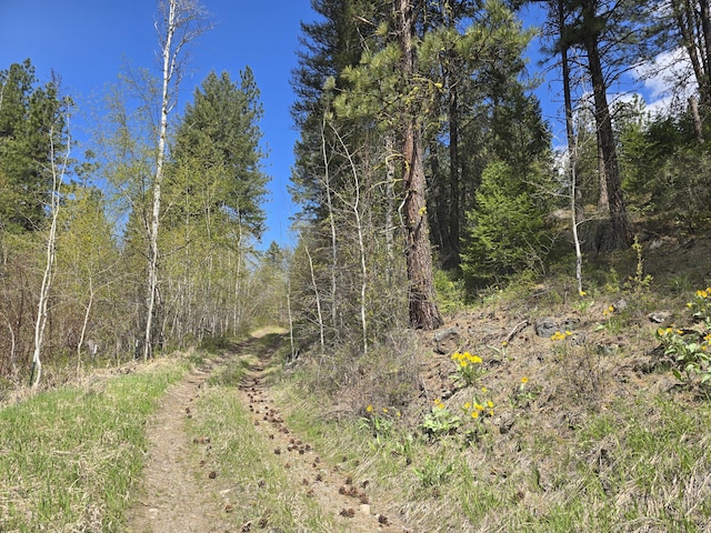 view of nature featuring a wooded view