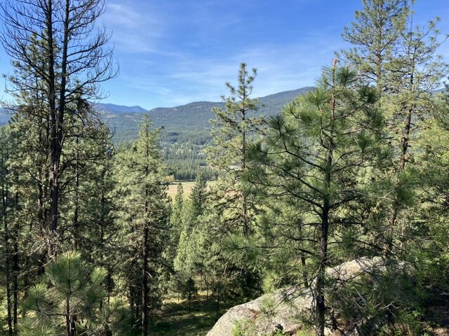 3434 Rockcut Rd, Kettle Falls, WA 99141 - mountain view with a heavily wooded area
