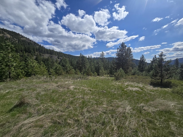 mountain view featuring a view of trees