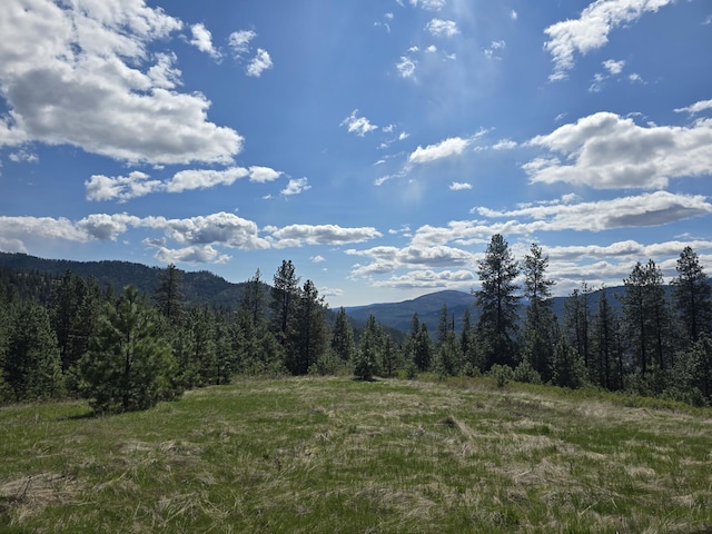3434 Rockcut Rd, Kettle Falls, WA 99141 - view of mountain backdrop with a heavily wooded area