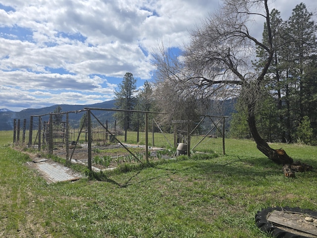 view of yard featuring a garden and a mountain view