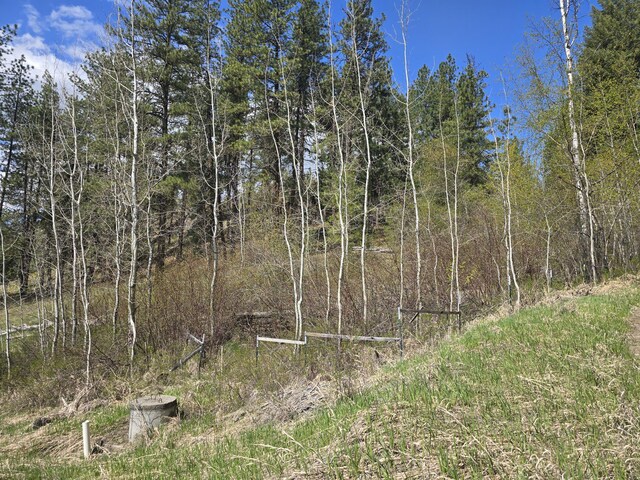 3434 Rockcut Rd, Kettle Falls, WA 99141 - view of undeveloped land