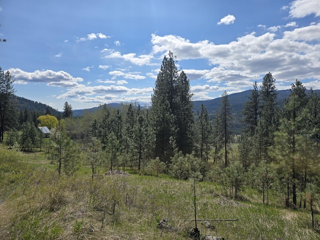 view of mountain feature featuring a view of trees