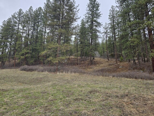 3434 Rockcut Rd, Kettle Falls, WA 99141 - view of tree filled area