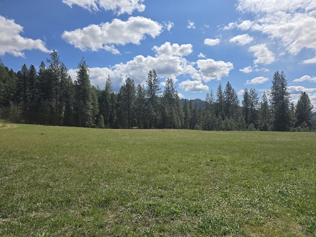 view of nature with a wooded view