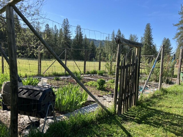 3434 Rockcut Rd, Kettle Falls, WA 99141 - view of yard