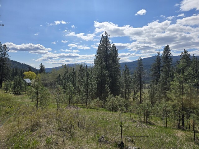 3434 Rockcut Rd, Kettle Falls, WA 99141 - view of mountain background featuring a forest