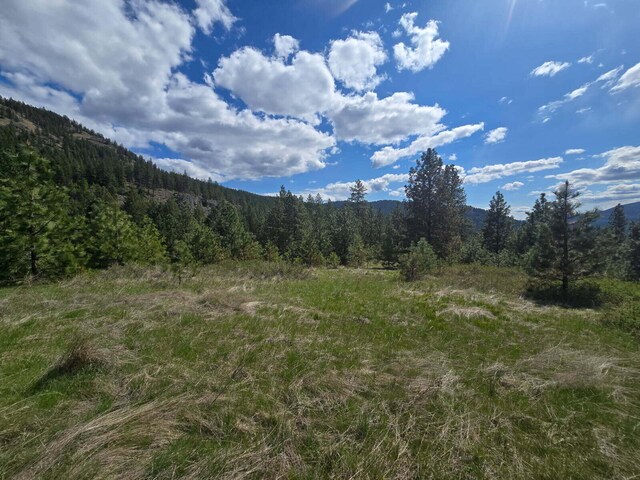 3434 Rockcut Rd, Kettle Falls, WA 99141 - view of mountain backdrop featuring a forest