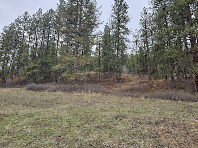 view of local wilderness with a wooded view