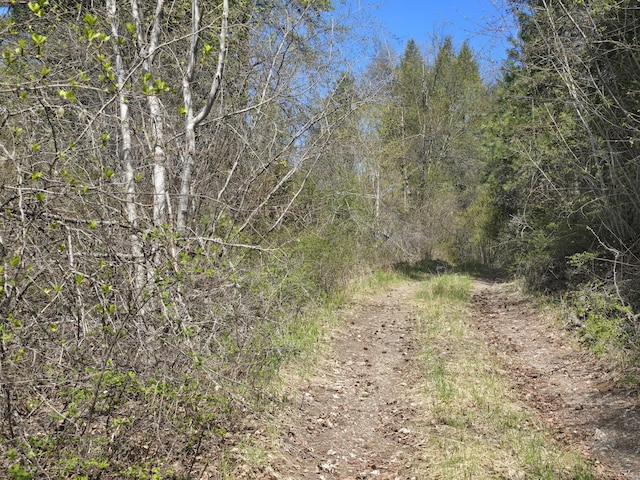 view of nature