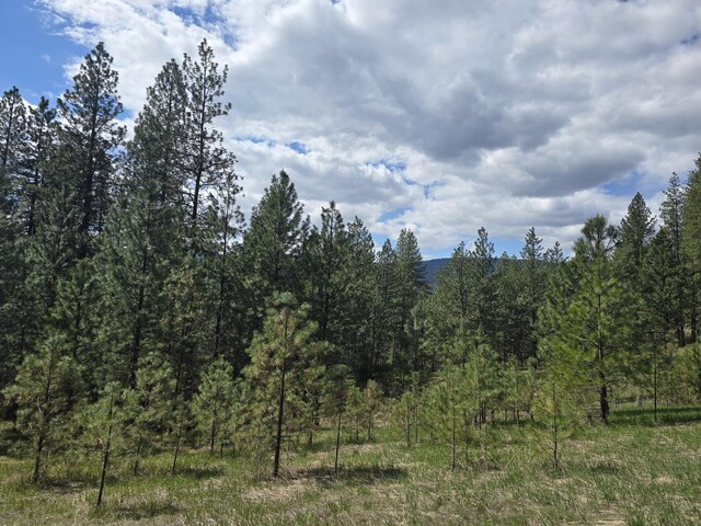 3434 Rockcut Rd, Kettle Falls, WA 99141 - view of tree filled area