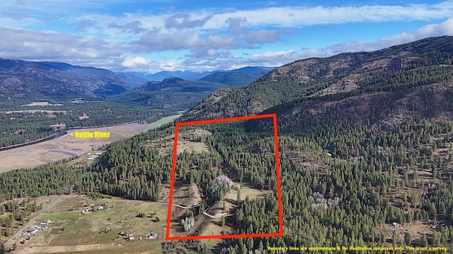 bird's eye view featuring a mountain view and a forest view