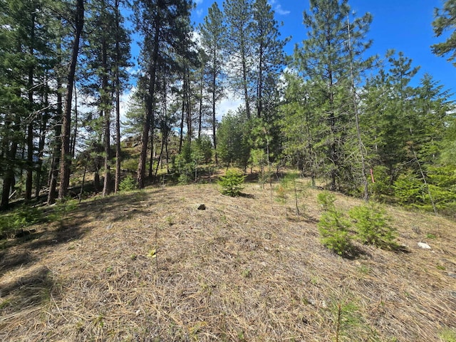 3434 Rockcut Rd, Kettle Falls, WA 99141 - view of nature