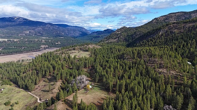 3434 Rockcut Rd, Kettle Falls, WA 99141 - mountain view featuring a heavily wooded area