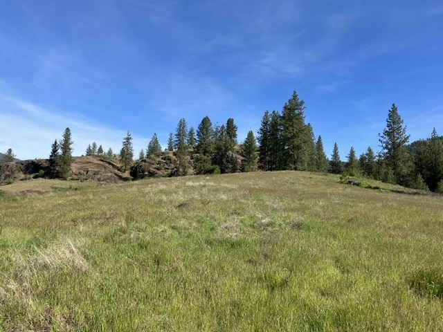 view of nature with a rural view