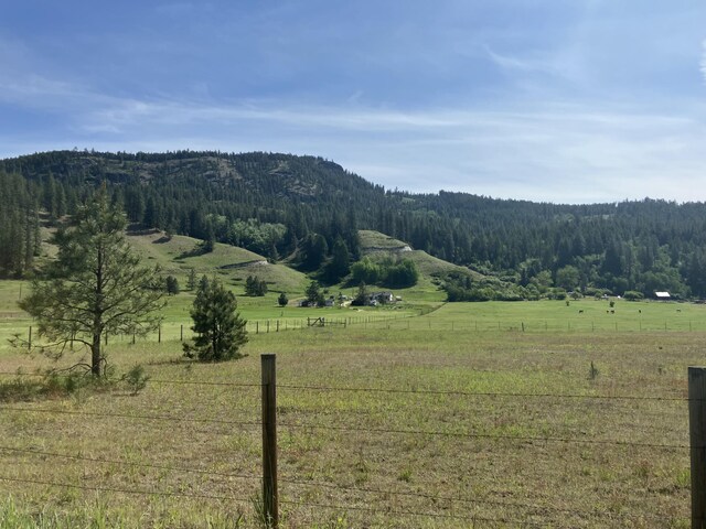 3434 Rockcut Rd, Kettle Falls, WA 99141 - mountain view with rural landscape, a heavily wooded area, and agricultural land