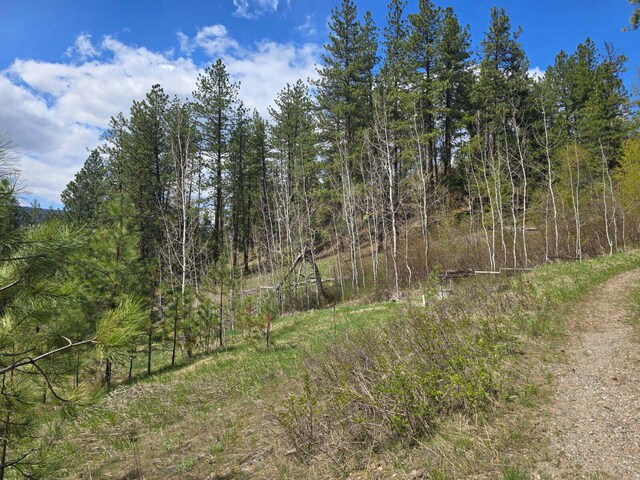 3434 Rockcut Rd, Kettle Falls, WA 99141 - view of tree filled area
