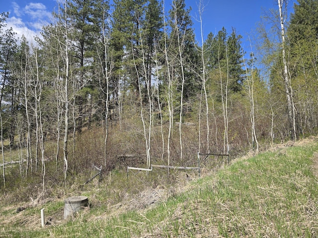 view of nature