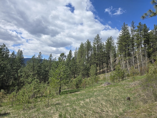 view of local wilderness featuring a forest view