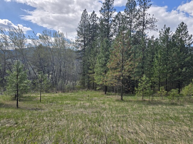 3434 Rockcut Rd, Kettle Falls, WA 99141 - view of tree filled area