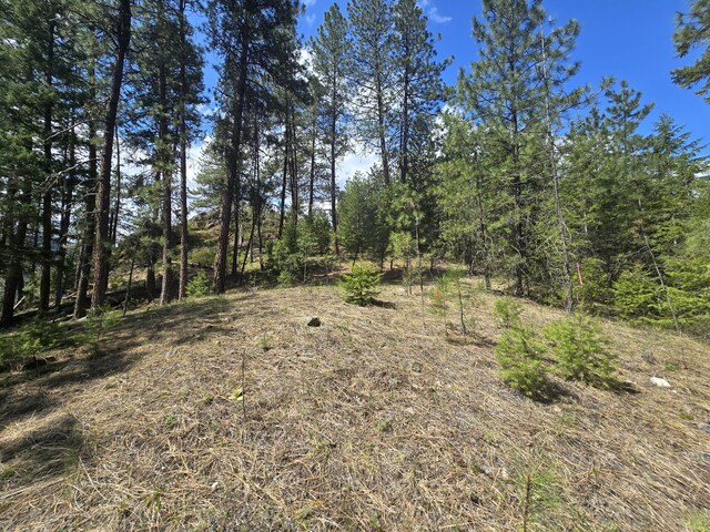3434 Rockcut Rd, Kettle Falls, WA 99141 - view of local wilderness