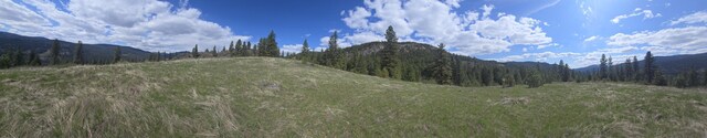 3434 Rockcut Rd, Kettle Falls, WA 99141 - view of mountain backdrop