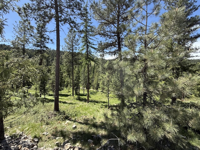 113 Boulder Way, Republic, WA 99166