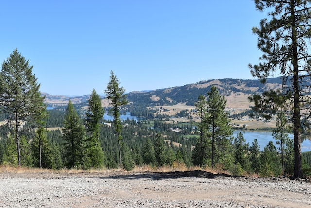 113 Boulder Way, Republic WA, 99166 land for sale