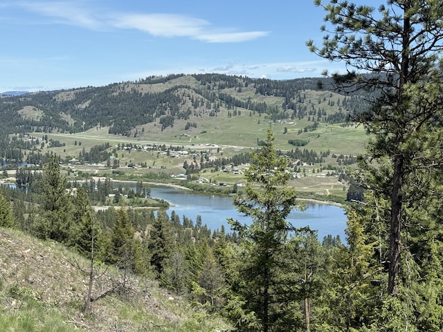113 Boulder Way, Republic, WA 99166