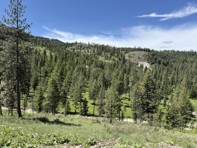 113 Boulder Way, Republic, WA 99166