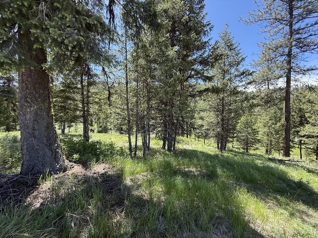 113 Boulder Way, Republic, WA 99166