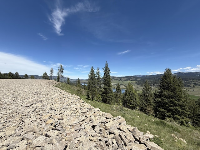 113 Boulder Way, Republic, WA 99166