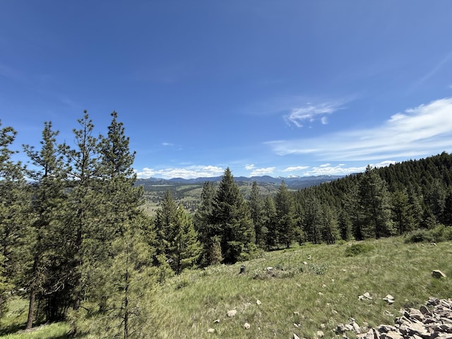 113 Boulder Way, Republic, WA 99166