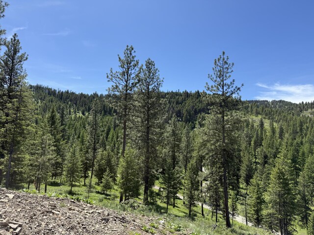 113 Boulder Way, Republic, WA 99166