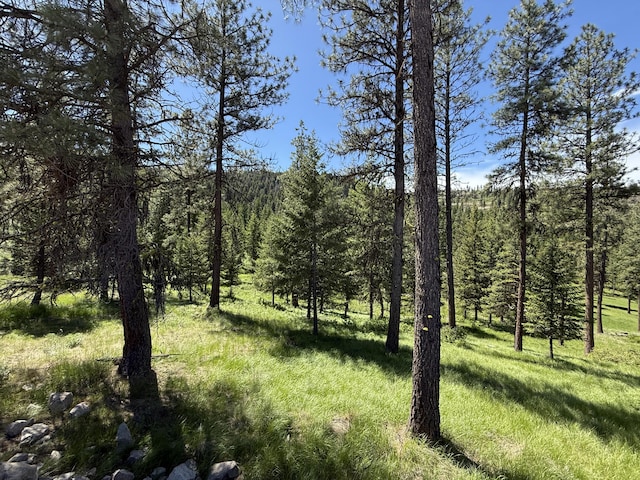 113 Boulder Way, Republic, WA 99166