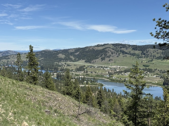 113 Boulder Way, Republic, WA 99166