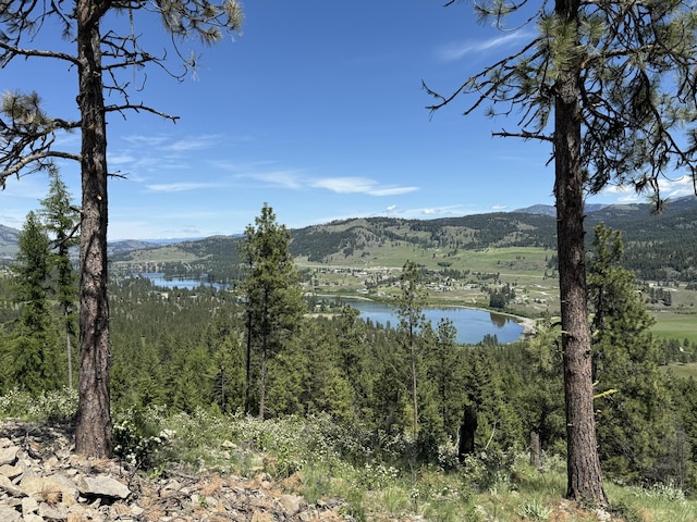 113 Boulder Way, Republic, WA 99166