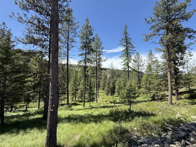 113 Boulder Way, Republic, WA 99166