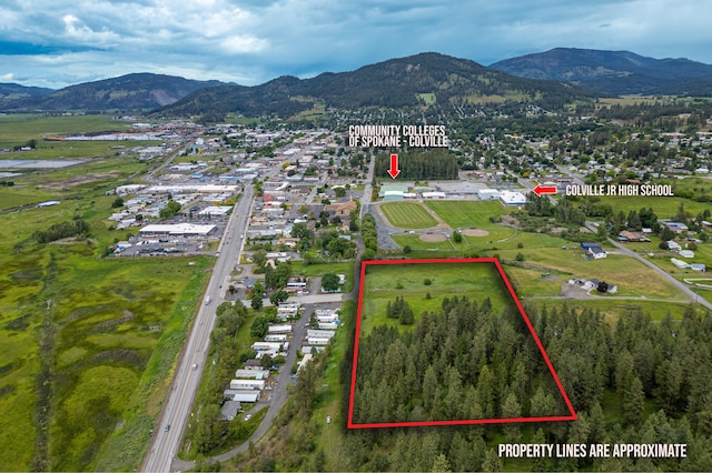 TBD Elm St S, Colville WA, 99114 land for sale